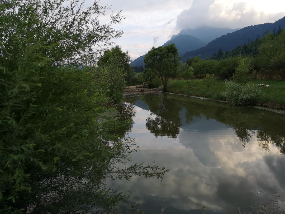 Vila Alexandra Otel Săcele Dış mekan fotoğraf