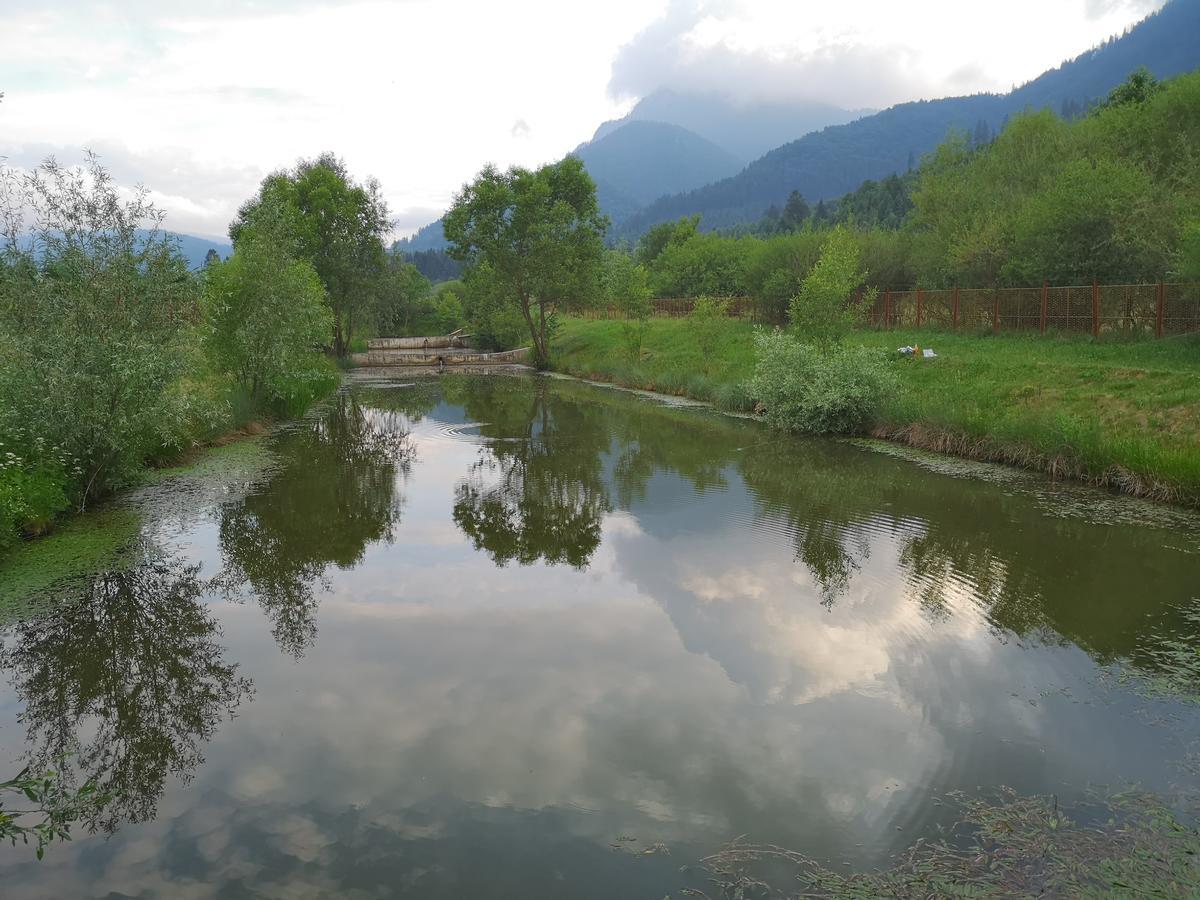 Vila Alexandra Otel Săcele Dış mekan fotoğraf